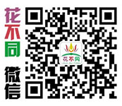 開(kāi)封花不同花卉有限公司-立體花壇