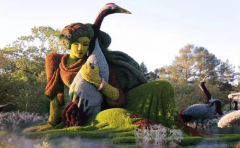 立體花壇的設(shè)計(jì)制作過(guò)程