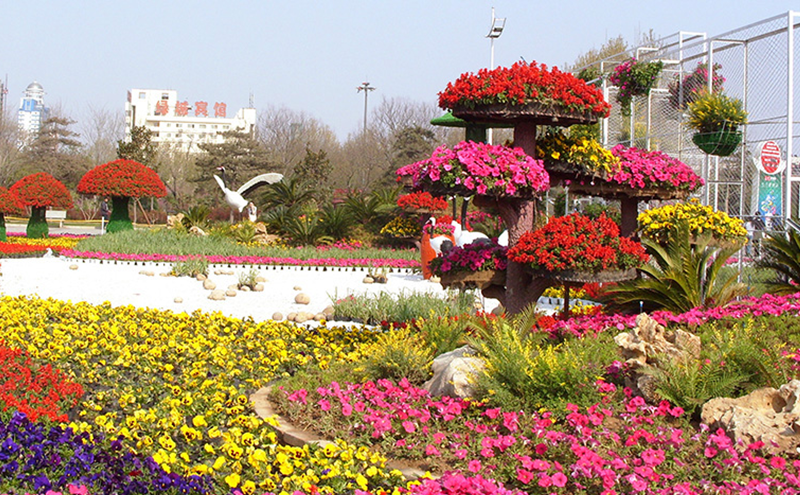 立體花壇施工規(guī)范與養(yǎng)護(hù)標(biāo)準(zhǔn)