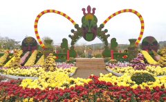 立體花壇的的建造與養(yǎng)護(hù)技術(shù)