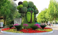 <b>特色五色草造型綠雕在城市、園林造景中的應(yīng)用</b>