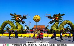 <b>嫁接型造型菊步驟、品種的選擇和嫁接方法</b>