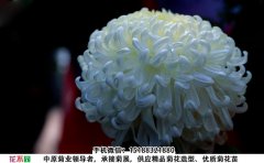 <b>國(guó)華白越山</b>