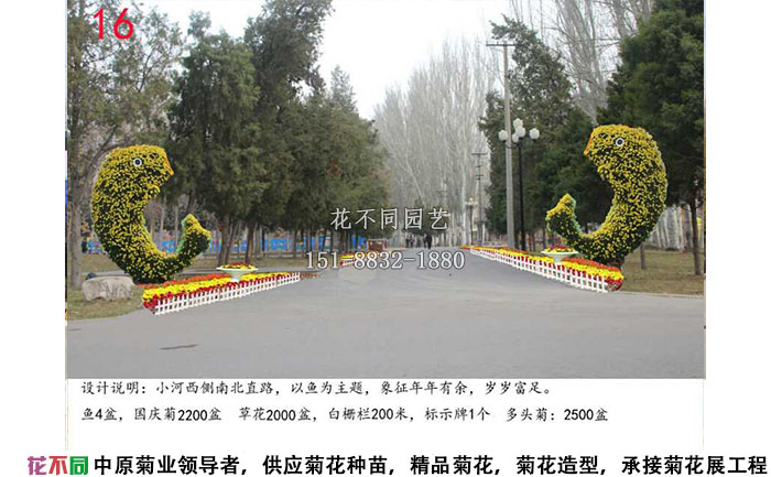 菊花展設計方案-年年有余菊花造型設計效果圖