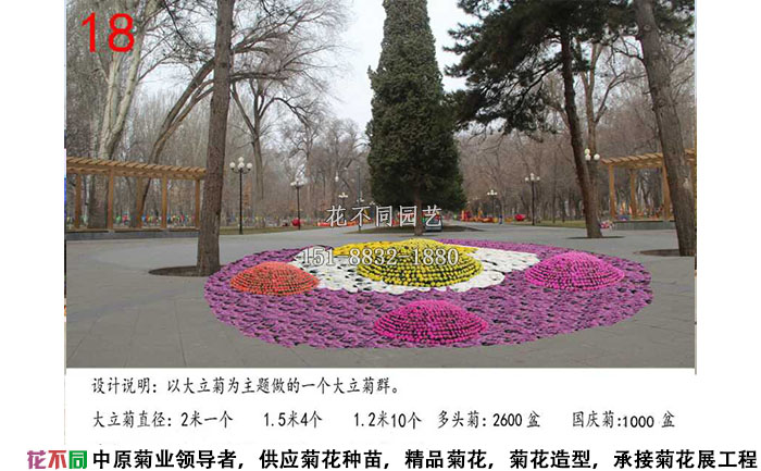 菊花展設計方案-大立菊設計效果圖