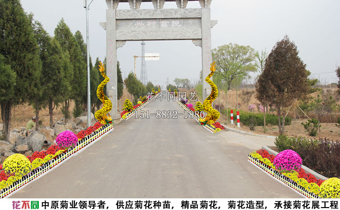 長治菊花展施工圖