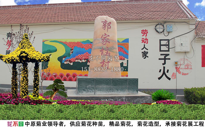 長治菊花展矢量圖