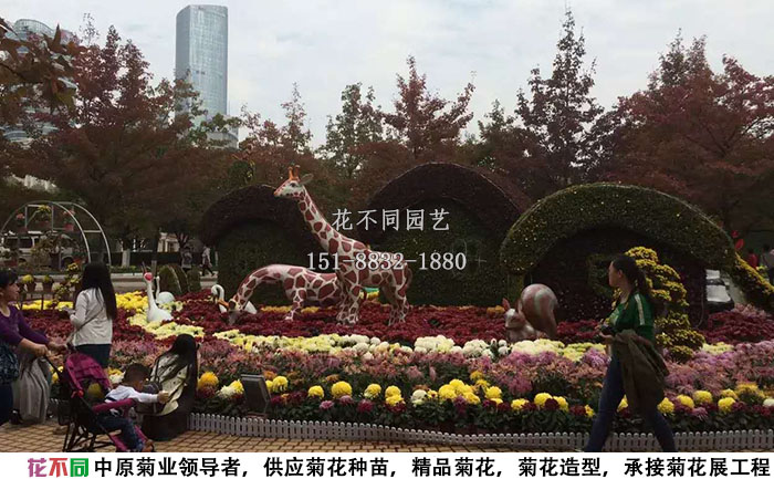 江西菊花節(jié)主景花壇布展設(shè)計方案