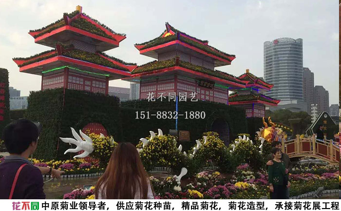 江西菊花節(jié)布展古城樓，雙龍戲珠菊花展造型