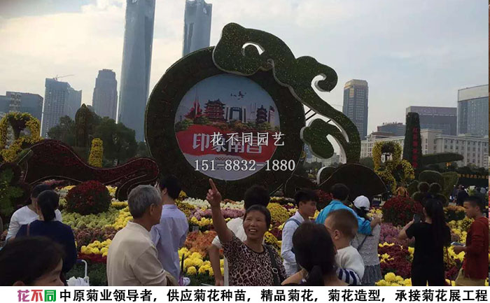 江西菊花展造型屏風(fēng)造型現(xiàn)場實拍圖