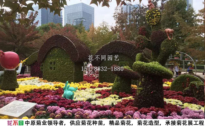 江西菊花展蘑菇菊花造型現(xiàn)場實拍圖