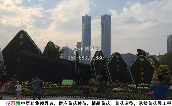 江西菊花展配景現(xiàn)場實拍圖