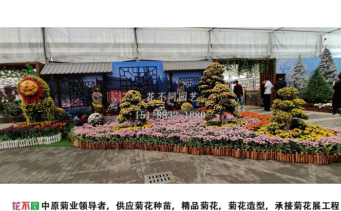 湖北菊花展菊花造型展區(qū)設(shè)計圖