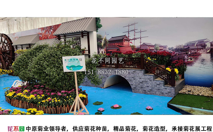 湖北菊花花會精品菊樹展區(qū)設(shè)計方案