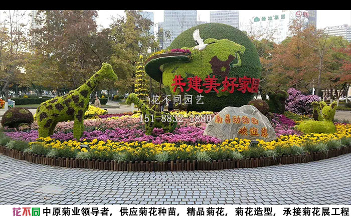 菊花展工程施工現場實拍圖