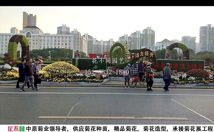 江西菊花展工程沿路展區(qū)實拍圖