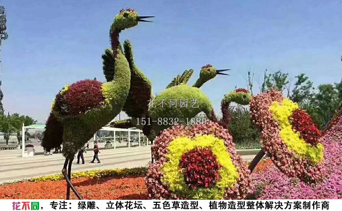 動(dòng)物綠雕造型-仙鶴設(shè)計(jì)圖