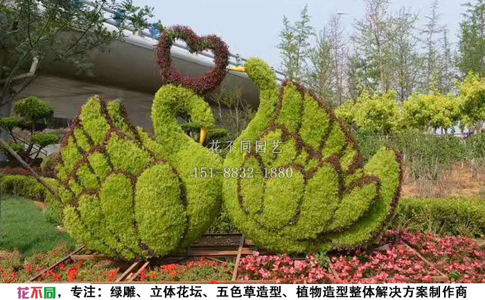 動(dòng)物綠雕造型-天鵝設(shè)計(jì)圖