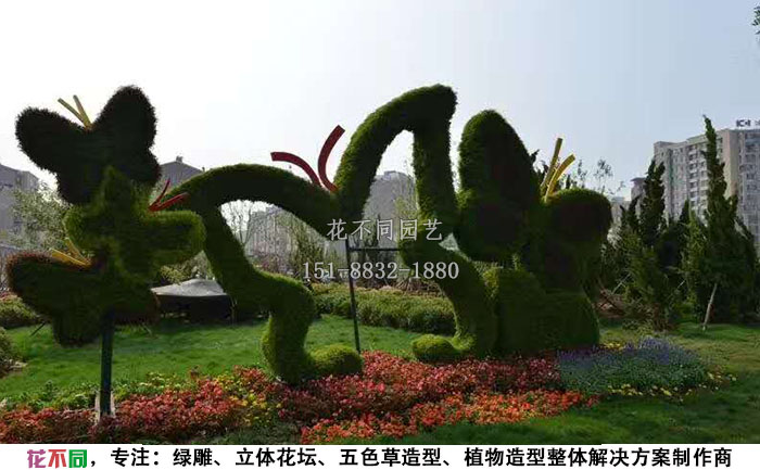 動(dòng)物綠雕造型-蝴蝶實(shí)拍圖片