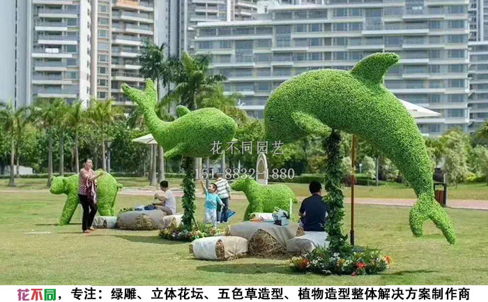 植物綠雕動物造型-海豚實拍圖