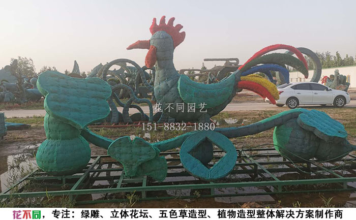 植物綠雕動物造型骨架-公雞現(xiàn)場實拍圖
