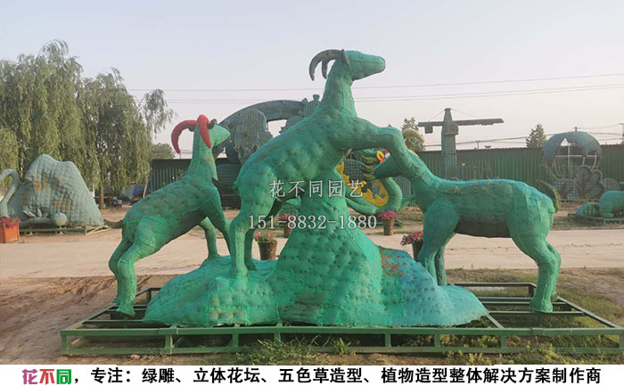 植物綠雕動物造型骨架-三羊開泰現(xiàn)場實拍圖