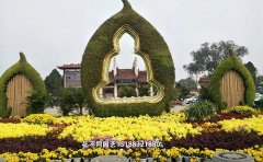 城市植物綠雕供應(yīng)