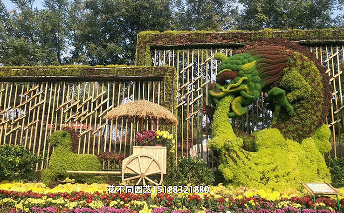 植物綠雕常用植物