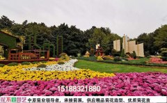 菊花基地：打造絕美花海的秘訣