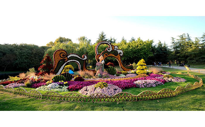 江蘇菊花展布展設(shè)計(jì)圖