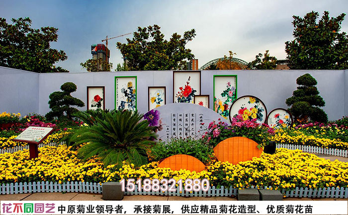 菊花展設(shè)計圖