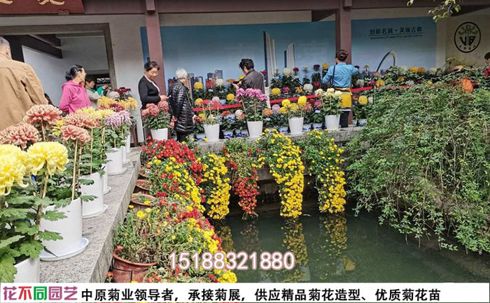 菊花展設(shè)計圖