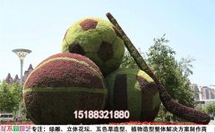 常見問題及解決方案-綠雕修復