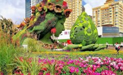 湖北武漢菊花展綠雕修復(fù)工程