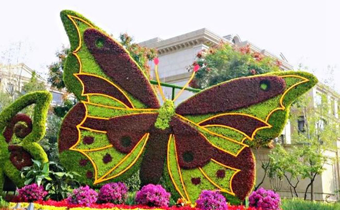 湖北武漢菊花展綠雕修復(fù)現(xiàn)場(chǎng)照片