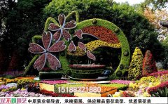 菊花展現(xiàn)場施工的精心布局與細(xì)節(jié)把控