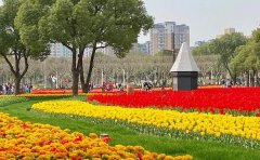 花海灌溉系統(tǒng)設(shè)計圖｜2024年智能節(jié)水技術(shù)方案與