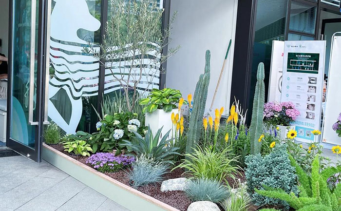 低成本高回報(bào)花境案例