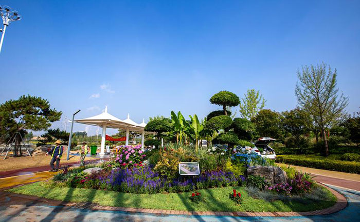 混合花境植物搭配案例