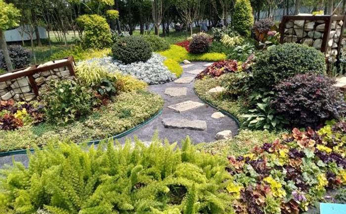 宿根花卉花境搭配方案