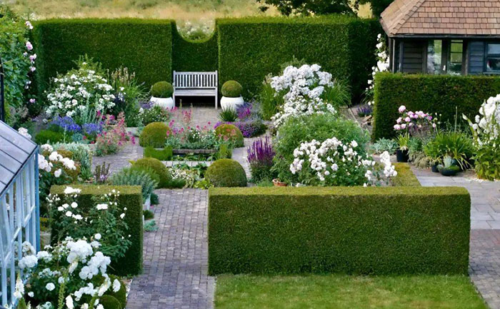 庭院宿根花卉低成本養(yǎng)護方案