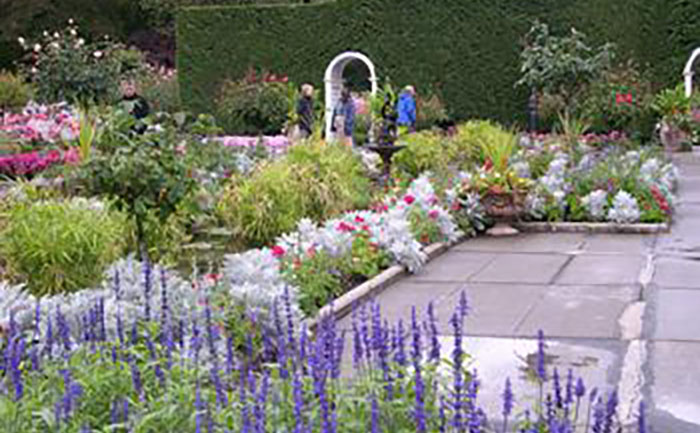 宿根花卉水體綠化應(yīng)用方案