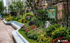 宿根花卉基地建設(shè)｜智能化管理標(biāo)準(zhǔn)與種質(zhì)創(chuàng)新