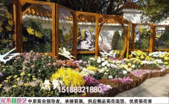 旅游景區(qū)菊花花海設(shè)計(jì)方案 |景區(qū)成功案例