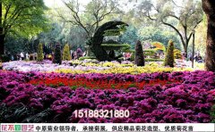 城市公園菊花景觀帶施工方案 | 菊花花海建設(shè)