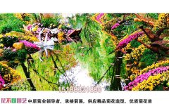 低成本菊花花海種植技術(shù)-降本增效方案與實(shí)施標(biāo)