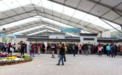 網(wǎng)紅打卡菊花花海設(shè)計(jì)-爆款場景定制