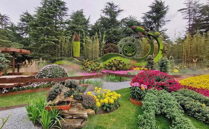 菊花花海綠雕組合景觀