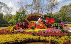 可持續(xù)菊花花海種植方案-園藝生態(tài)種植技術(shù)