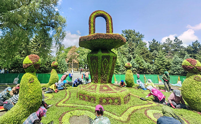 五色草種苗全國配送網(wǎng)絡(luò)覆蓋與重點城市時效示意圖